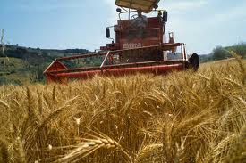 Mutui Agrari: le caratteristiche, chi li offre